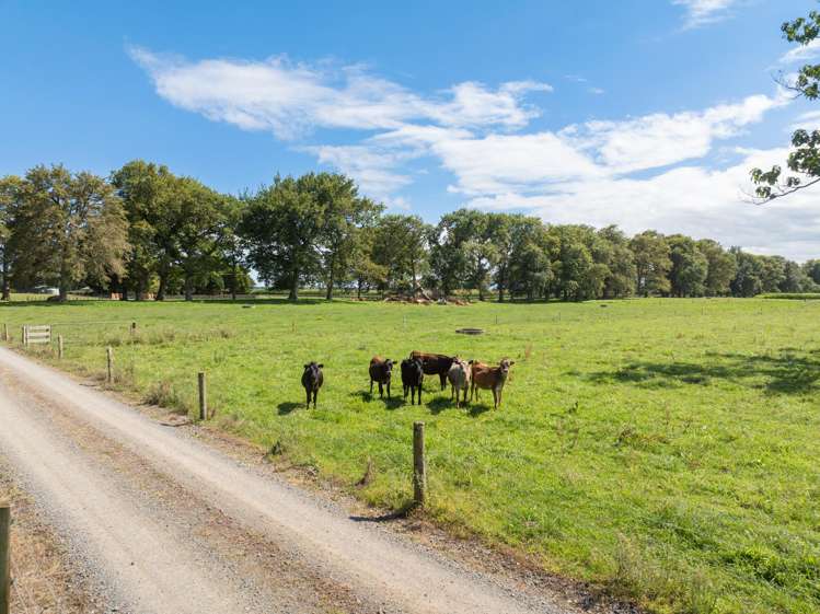 138 Taihoa South Road Matamata_11