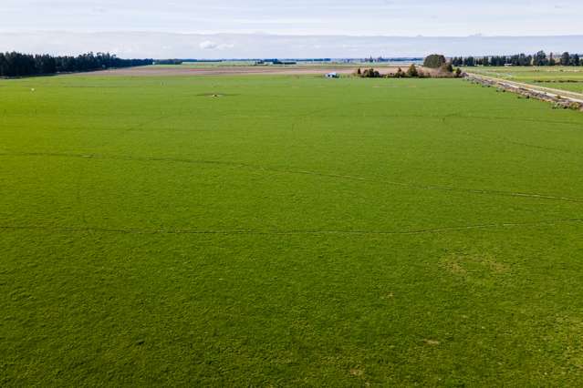 Pivot Irrigated Intensive Dairy Support Unit