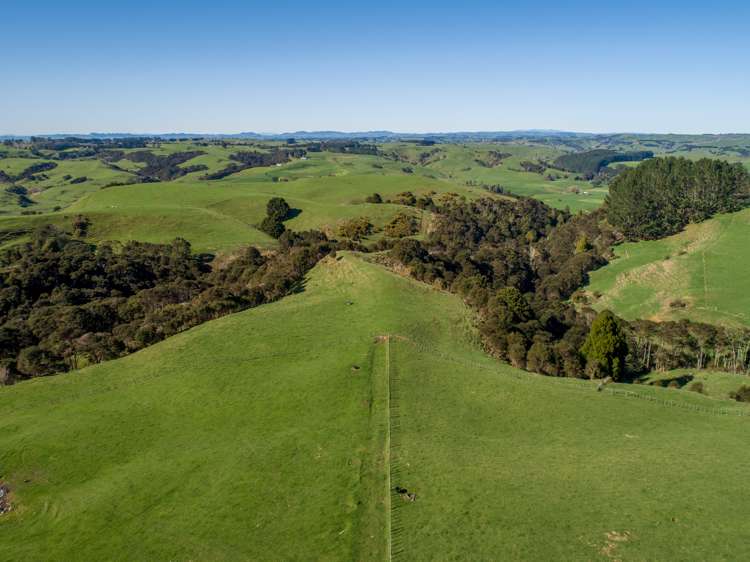 416 Kauri Road Onewhero_12