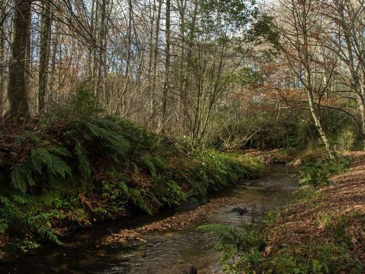 763 Paradise Valley Road Ngongotaha Valley_19