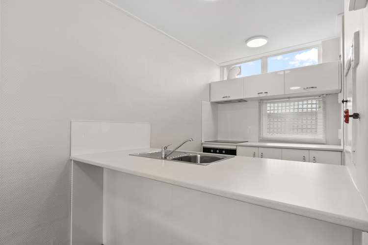 1 Coates Street Hamilton East_4