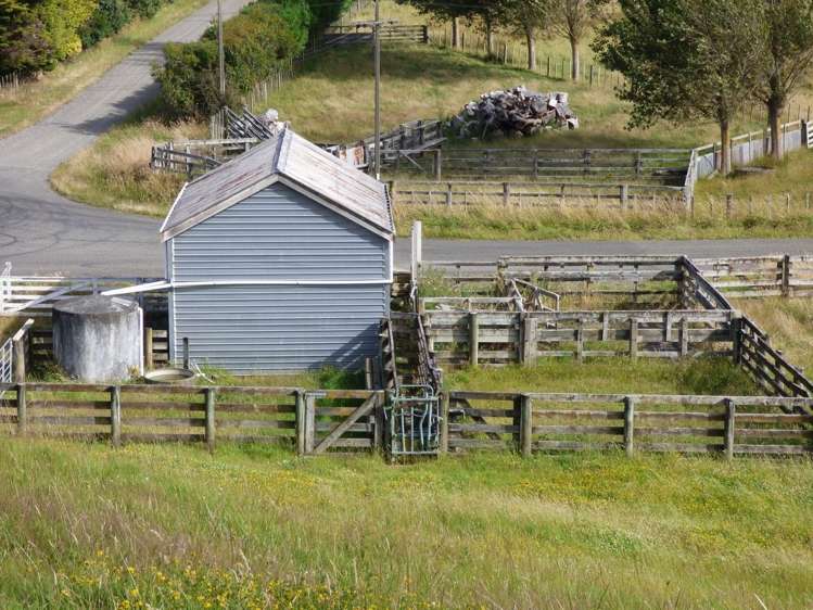 729 Midland Road Bunnythorpe_5