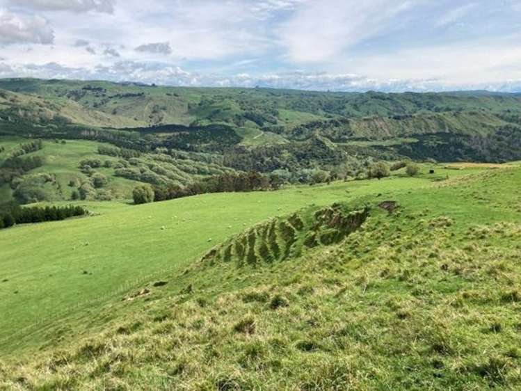 715 Te Apiti Road Waimarama_13