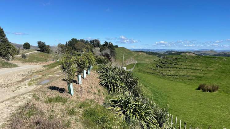 1845 Kanakanaia Road Whatatutu_6
