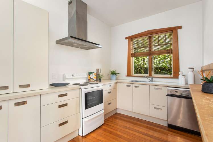 61 Diamond Avenue Spreydon_6