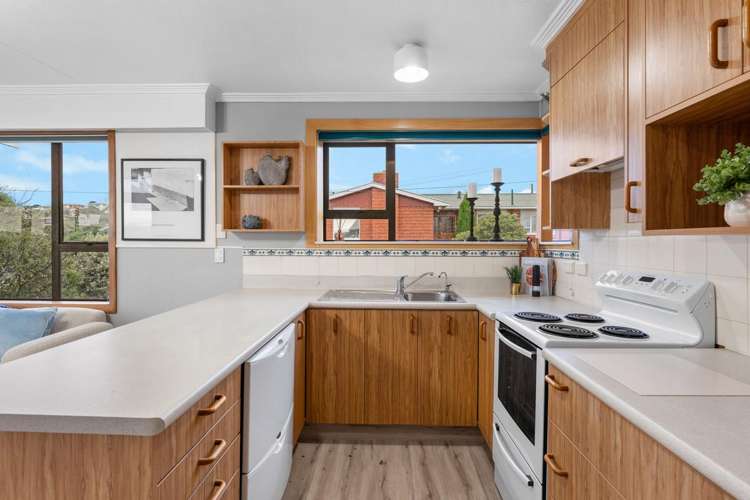 239 Highcliff Road Shiel Hill_10