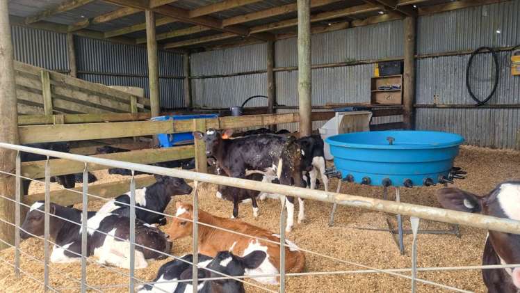 518 Mangakaretu Road Kerikeri_13