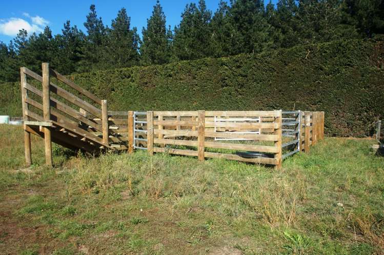 166 Walkers Road Rolleston_19