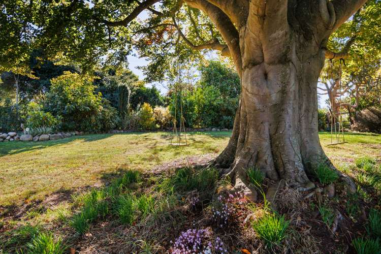 1082 Pohangina Road Pohangina_25