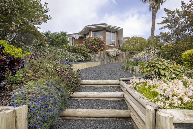 301 Brighton Road Waldronville_15