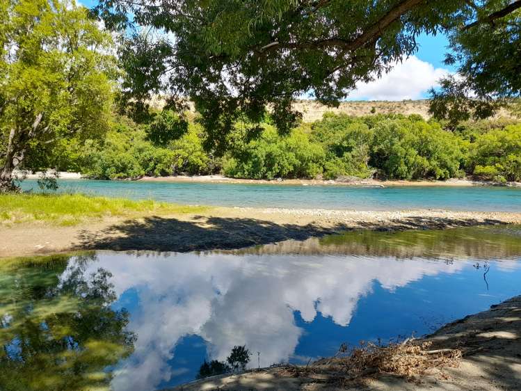 411b Maori Point Road Westland Surrounds_19