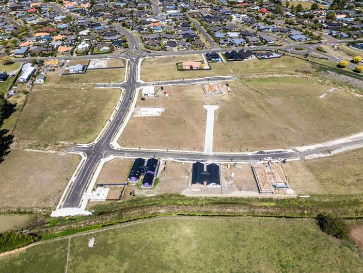 Brooklands Estate Havelock North_6