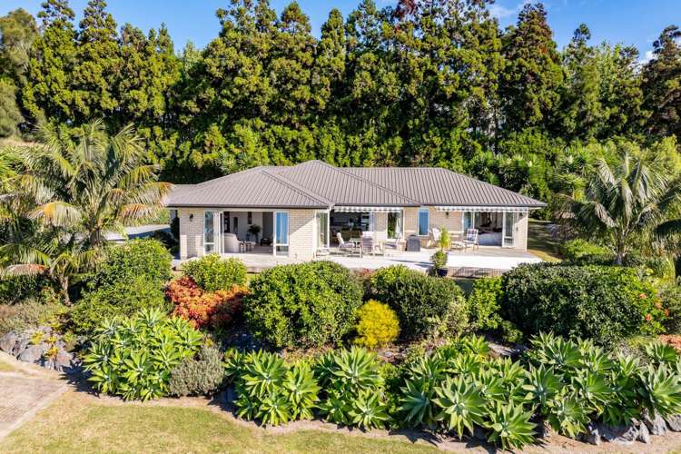 73 Avocado Lane Mangawhai_0