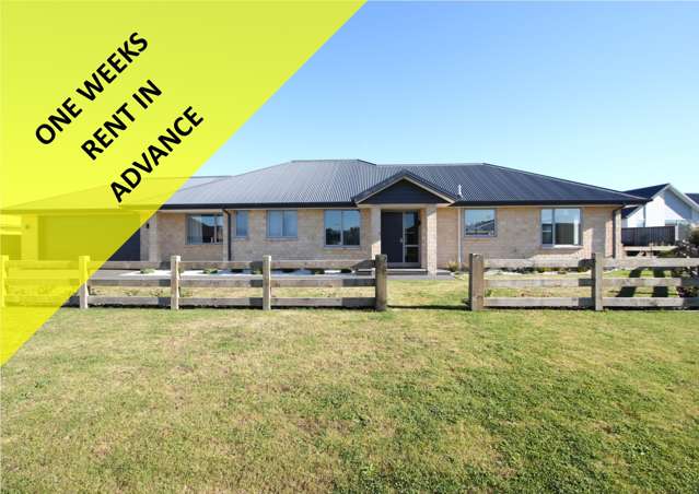 17 Loeb Place Rolleston_1