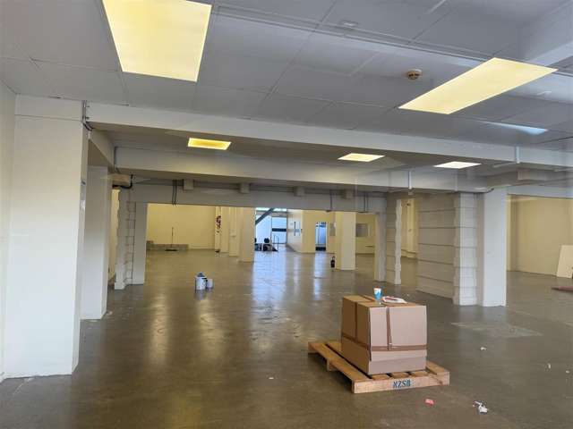 58 Adelaide Road Mount Cook_3