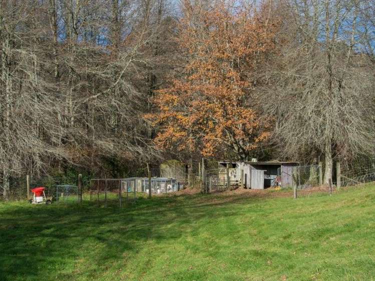 763 Paradise Valley Road Ngongotaha Valley_18