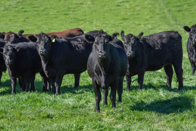 795 Omihi Road Waipara_11