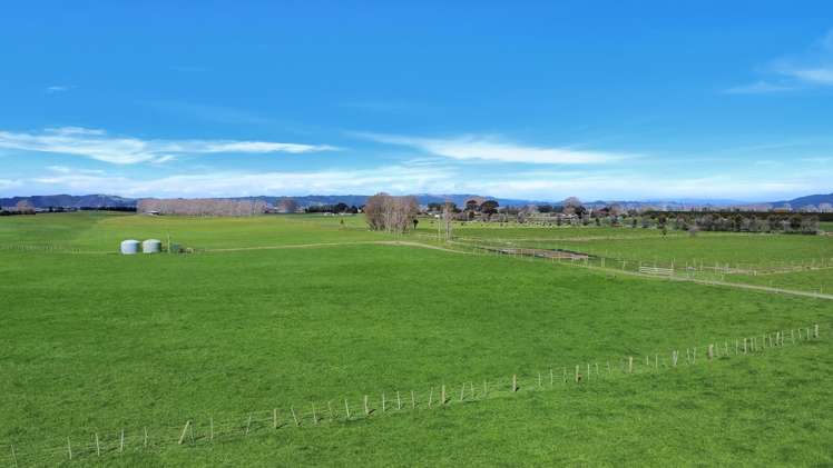 203A Aerodrome Road Thornton_8