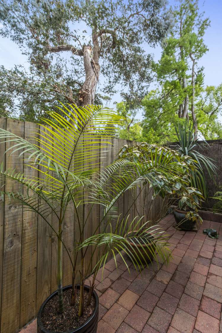 30/3 Wagener Place Mount Albert_16