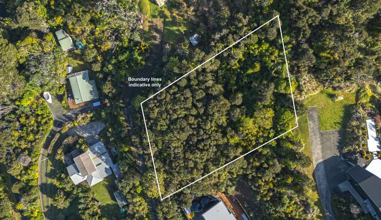 624 Wyuna Bay Road Coromandel_16