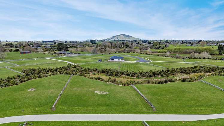 Alexandra Estate Subdivision Pirongia_7