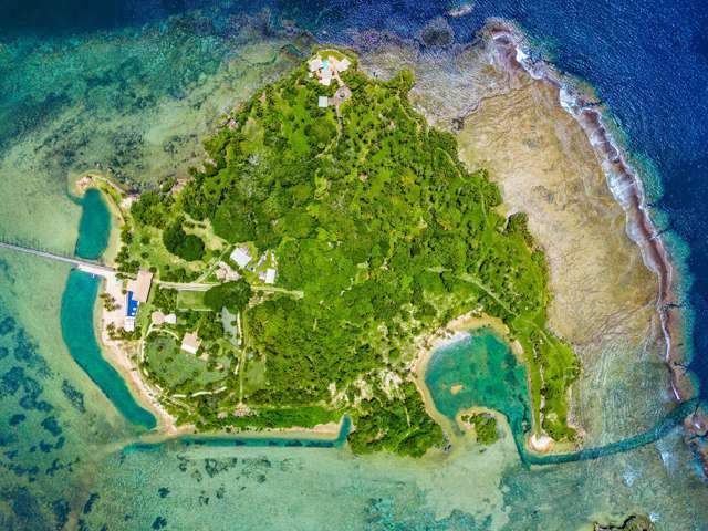 - Wavi Island Vanua Levu_2