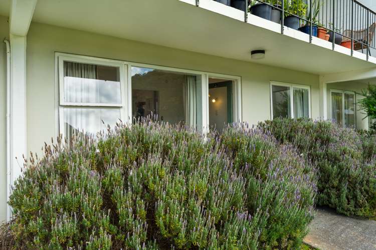 2/19 Britannia Street Petone_9