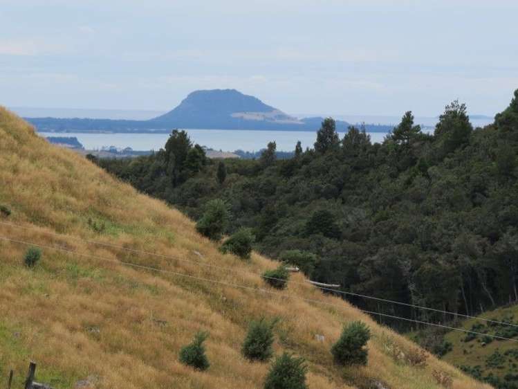 764 Work Road Whakamarama_11