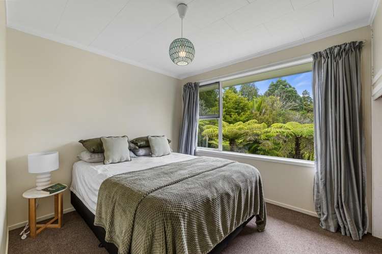 18 Steam Hauler Track Waitakere_12