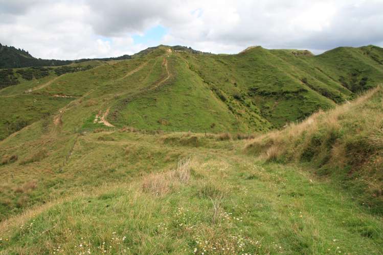 1110 Mangaehu Road Pohokura and Surrounds_1