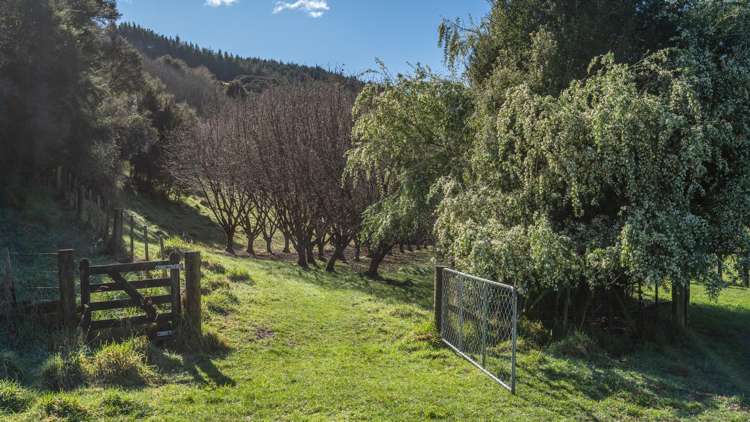 9 Harmans Track Little River_30