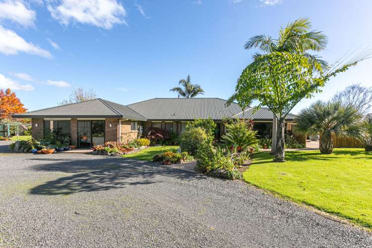 1757 Manaia Road Coromandel_10