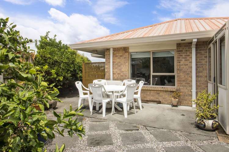 124 Wills Road Katikati_12
