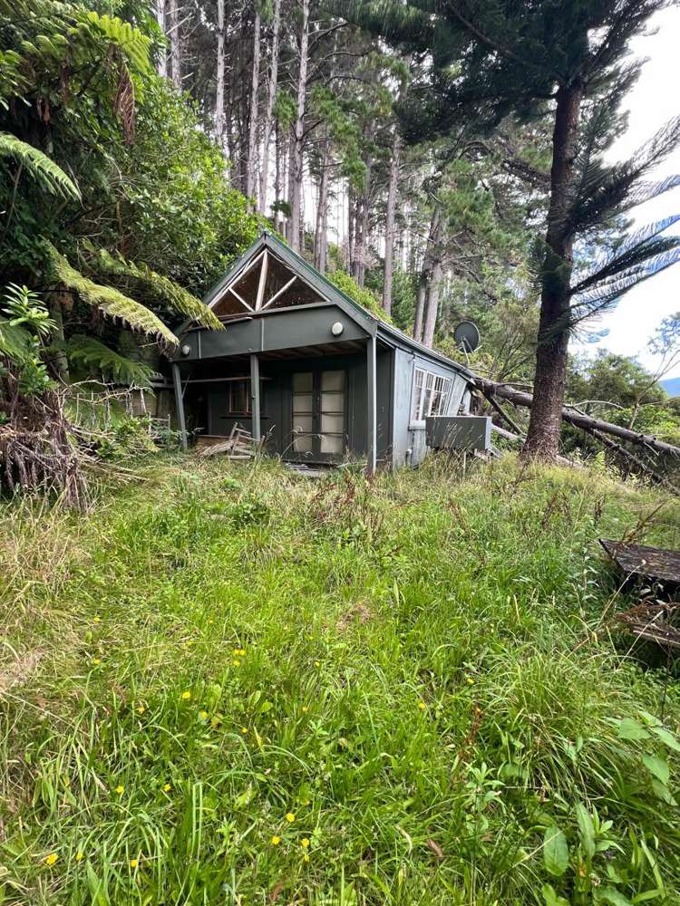 Ahitarakihi Bay Queen Charlotte Sound_7
