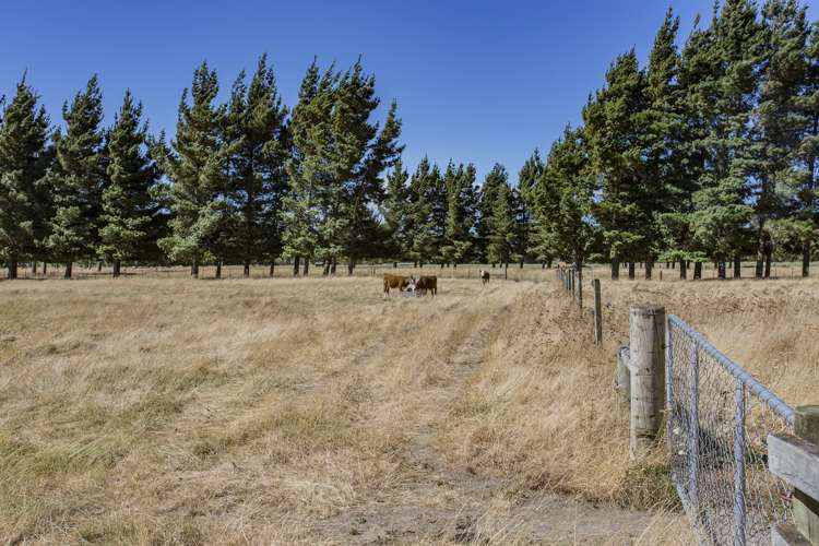 188 Overtons Road Scargill_15