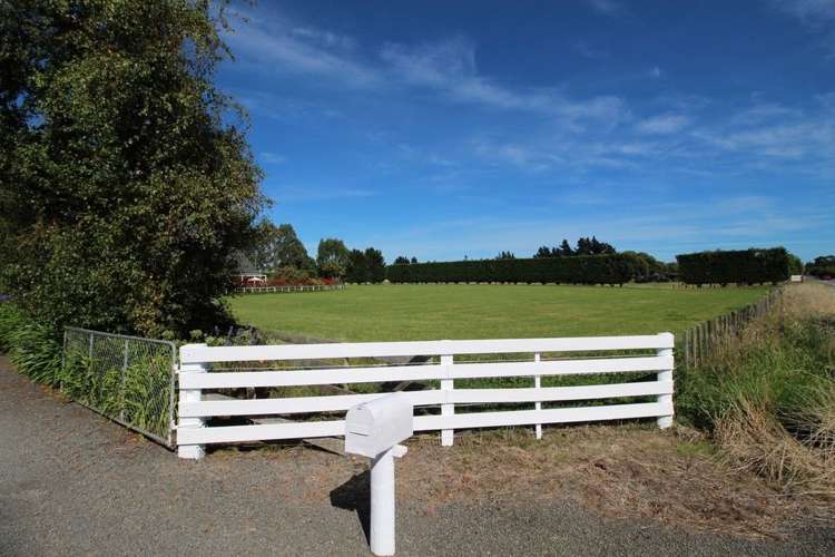 112 Calico Line Marton_50