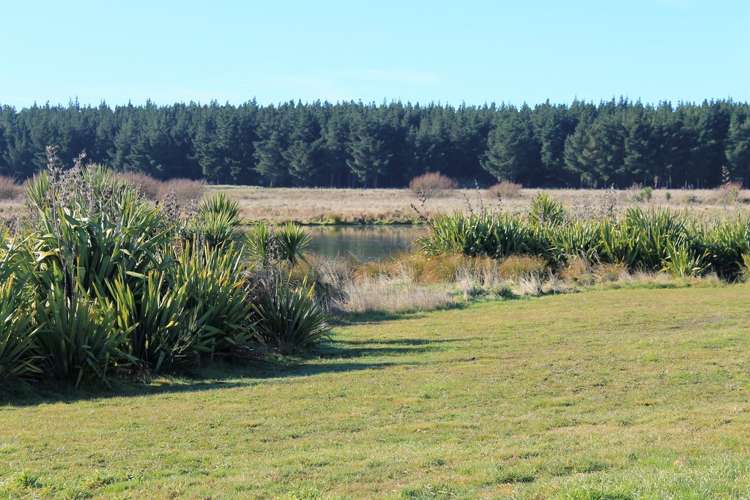 95 Te Hurunui Drive Pegasus_5