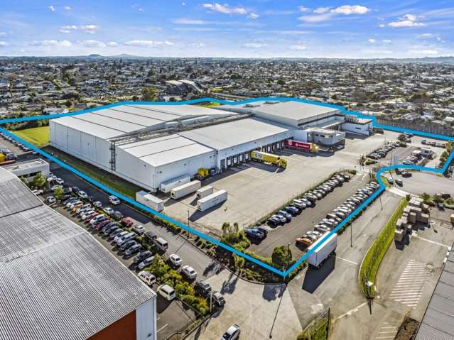 17 Nesdale Avenue Wiri_1