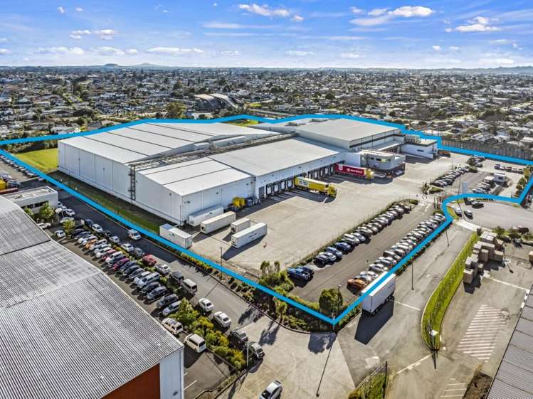 17 Nesdale Avenue Wiri_1