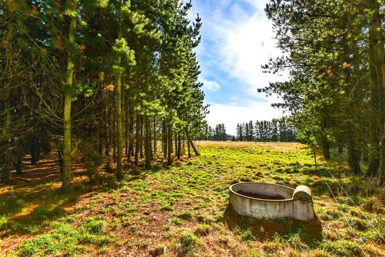 352 Knyvetts Road Southbridge_27