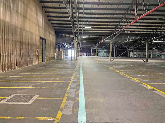 Building /167 Pilkington Road Mt Wellington_4