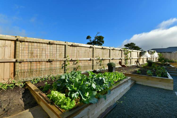 12 Northwood Close Warkworth_3