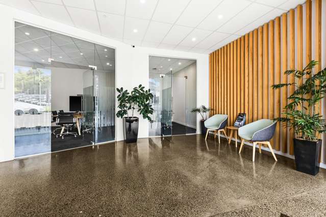 13 Carlyle Street Napier South_3