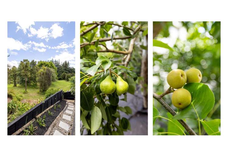 39 Kinloch Drive Bethlehem_19