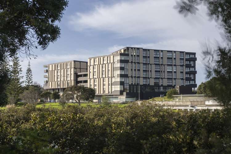 48 Esmonde Road_5