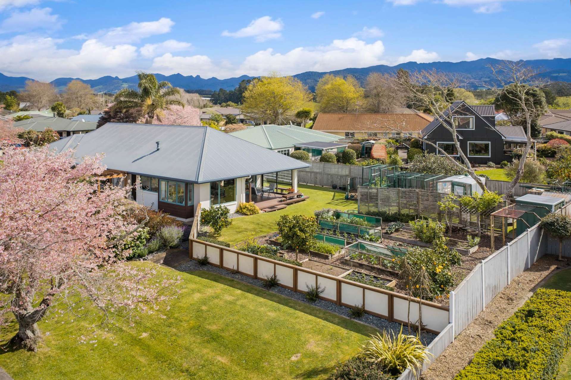 26 Highfields Drive Katikati_0