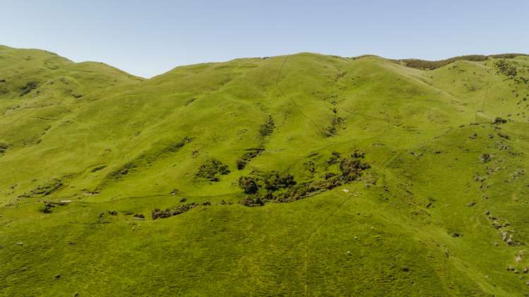 1337 Coonoor Road Pahiatua_6