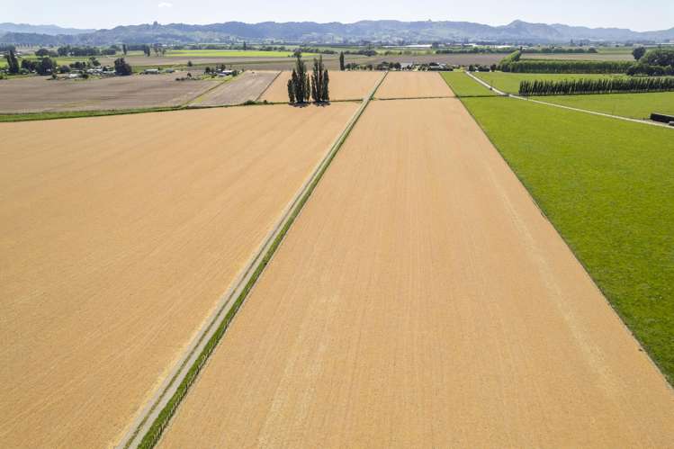 Lavenham Road Waituhi_3