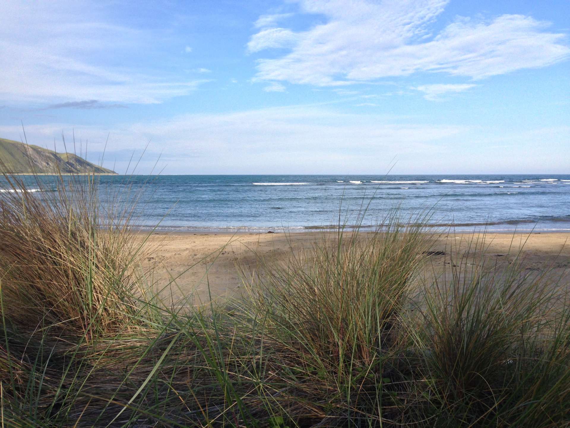 21 Shoal Beach Road Aramoana_0