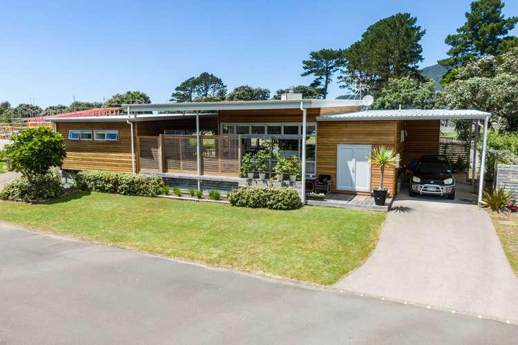 6 Justintime Pauanui_24